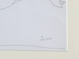 a drawing of a bird that is flying in the sky
