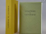 des livres jaunes et verts posés côte à côte sur une surface blanche