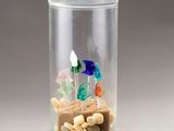 a glass vase filled with rocks and small glass fish
