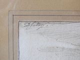 a drawing of a bird that is flying in the sky
