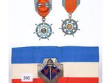 two medals are displayed on a table with a blue and red ribbon