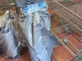 many bags of toilet paper on the floor in the store