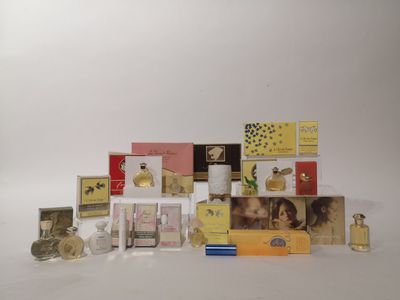 de nombreux parfums différents sur une surface blanche