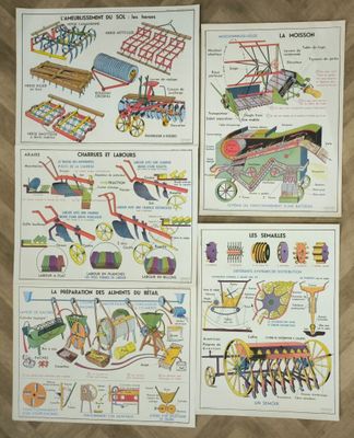 Lot de 5 affiches éducatives recto verso couleur, tableau J.
