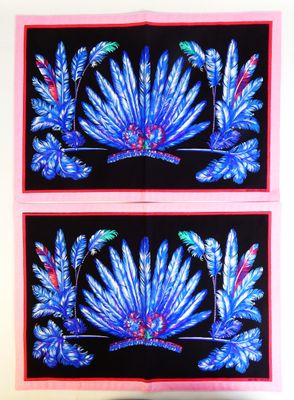 deux tableaux représentant des plumes bleues et roses sur fond noir