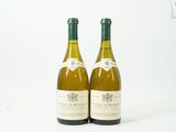deux bouteilles de vin blanc posées sur une surface blanche