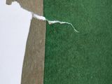 a piece of paper that has been torn off of it