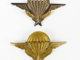 two military badges with wings and a star on a white background