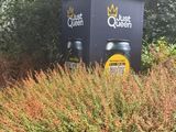 a trash can sitting in the middle of a bush