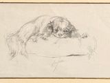 drawing of a dog resting on a pillow with its head resting on a pillow