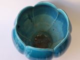 a blue bowl with a brown substance inside of it