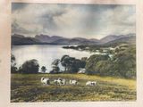 many sheep that are standing in the grass by the water