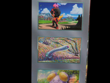 three pictures of pokemon characters displayed on the back of a box