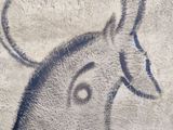 Photo 3/11 du lot