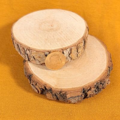 two slices of wood with a coin on top of them