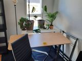 un bureau avec une chaise et une plante en pot dans un coin
