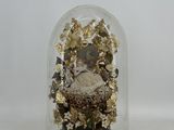 un dôme en verre contenant une figurine