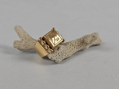 an image of a gold ring with a diamond in the center