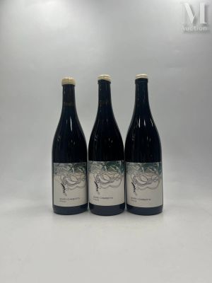 GEVREY-CHAMBERTIN GEVREY-CHAMBERTIN, "EN Reniard", Domaine L…
