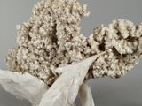 a piece of rock that has some kind of material on it