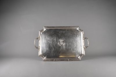 a silver tray with handles and handles on a white surface