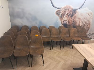 de nombreuses chaises dans une pièce où une vache est accrochée au mur