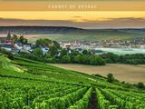 the cover of the book champagnee, with a vineyard in the background
