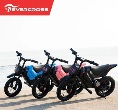 trois vélos garés les uns à côté des autres sur la plage