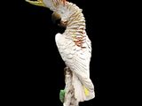 a white and yellow bird sitting on top of a white pedestal