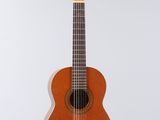 an image of a guitar hanging from a string on a wall