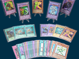 beaucoup de cartes sur la table