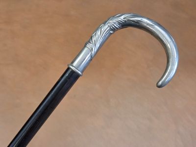 a close up of a walking stick with a metal handle