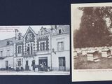 deux vieilles cartes postales représentant un bâtiment et un arbre