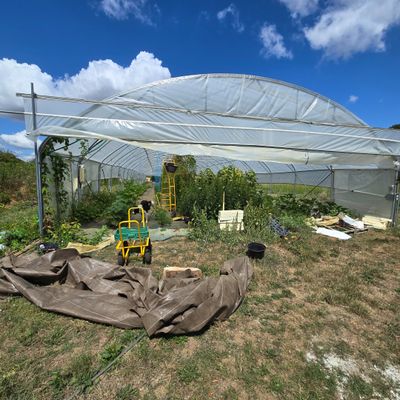 une grande serre où poussent de nombreuses plantes