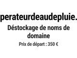 Photo 1/1 du lot