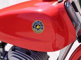 a close up of a red motorcycle with a green handlebar