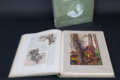 a book opened to show a picture of a bird in a cage