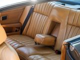 an image of a car with leather seats in the back