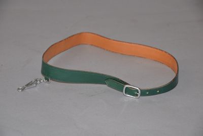 laisse pour chien en cuir vert et orange avec une boucle argentée