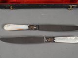 two knives in a case sitting next to each other on a table