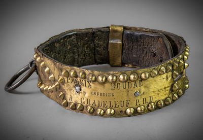 a close up of a gold bracelet with a metal clasp