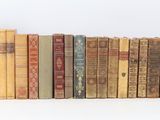 plusieurs vieux livres sont alignés sur une surface blanche