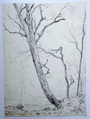 dessin au crayon représentant un arbre sur la branche duquel est perché un oiseau