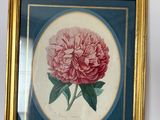 une photo d'une fleur rose dans un cadre doré