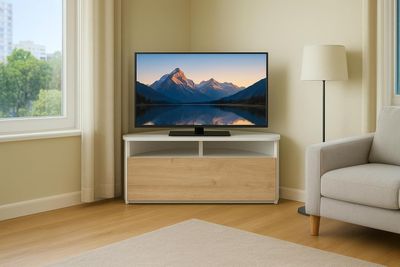 un grand téléviseur à écran plat posé sur un meuble dans un salon
