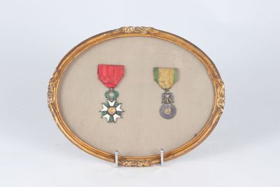 an image of a picture of two medals in a gold frame