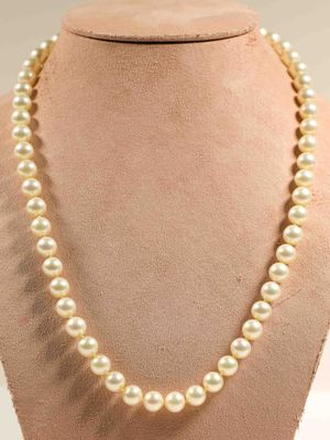 Collier de perles de culture blanches du Japon (9,1 mm). Fermoir en or - Photo 1