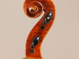 a close up of the back of a violin