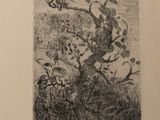 a black and white drawing of a tree with birds in it
