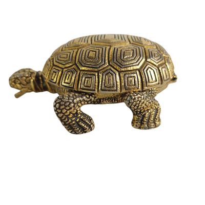brass turtle figurine on a white background with a white background